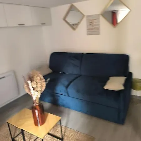 Studio Moderne Situe A 300M Du Coeur De Troyes Esterno foto