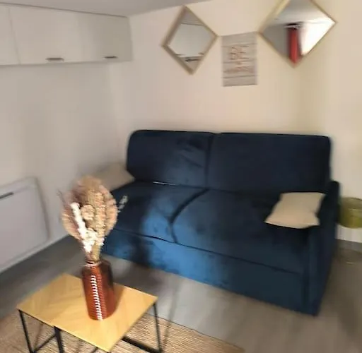 Studio Moderne Situe A 300M Du Coeur De Troyes